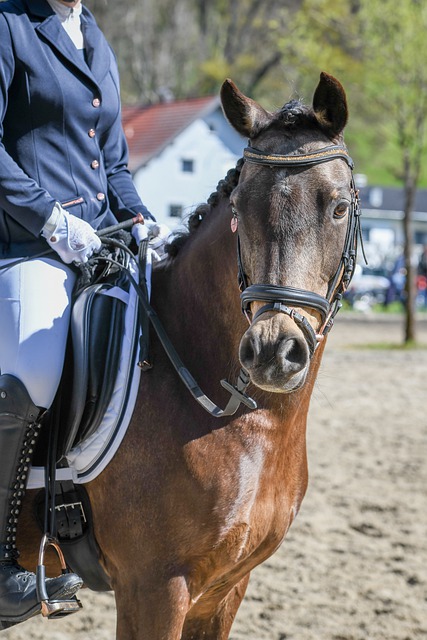 训练支持下 训练支持下