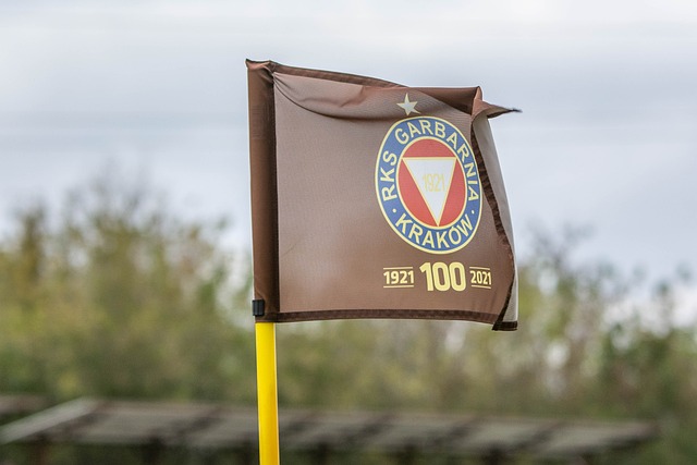 受到伤病困 受到伤病困