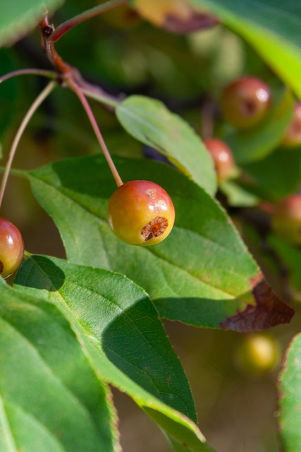 还能在关键 还能在关键