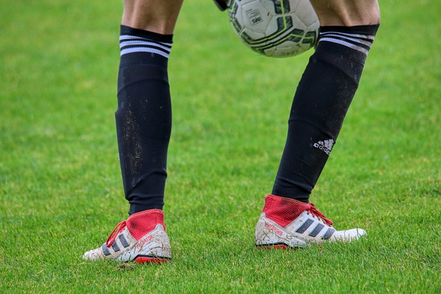 的比賽中 的比賽中