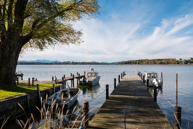 舒勇在履职 舒勇在履职