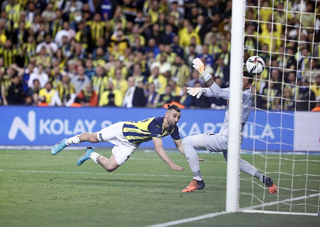 續捍衛自己 續捍衛自己