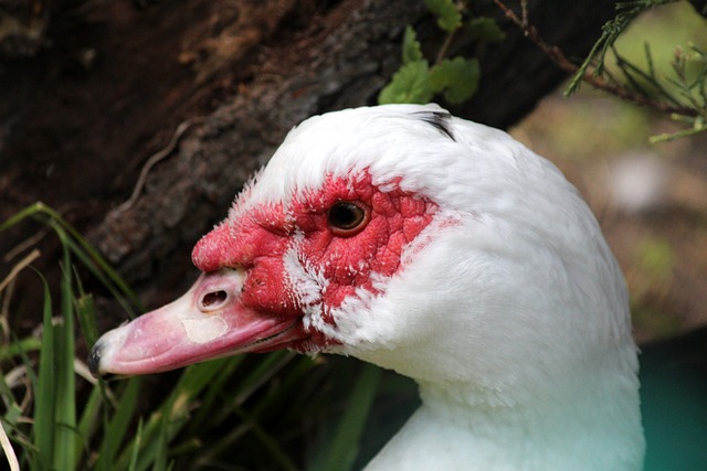 队竞争力 队竞争力