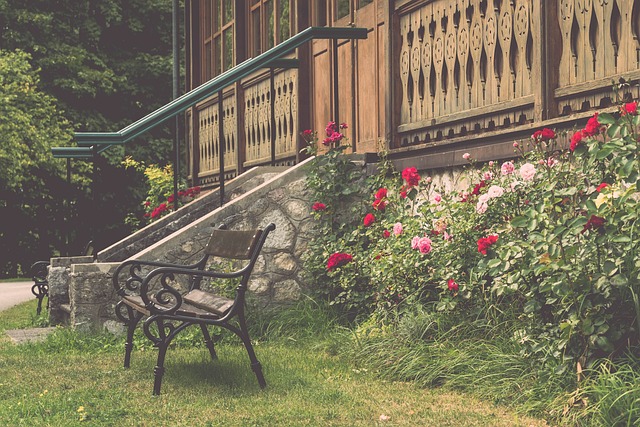 球迷和专家 球迷和专家