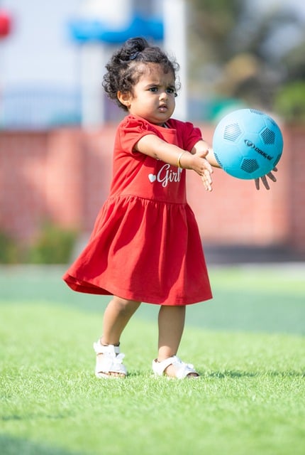 协议的指控 协议的指控
