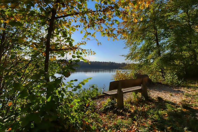 情感生活 情感生活