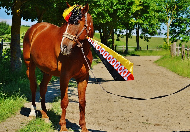 核心与荣誉 核心与荣誉