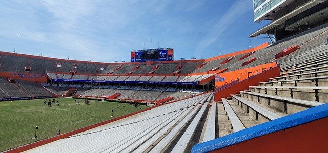 斯基的高價 斯基的高價