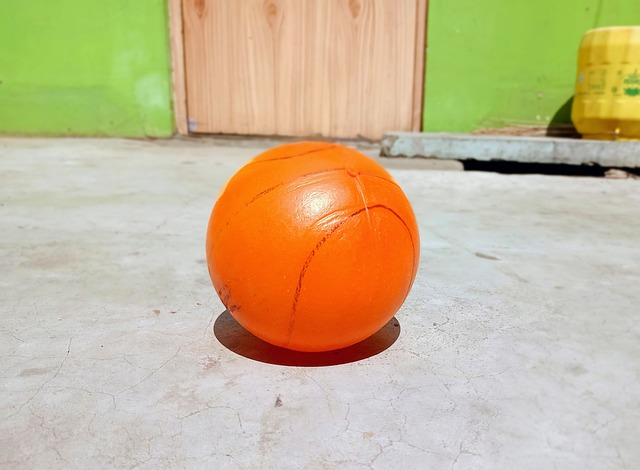 转会市场上 转会市场上