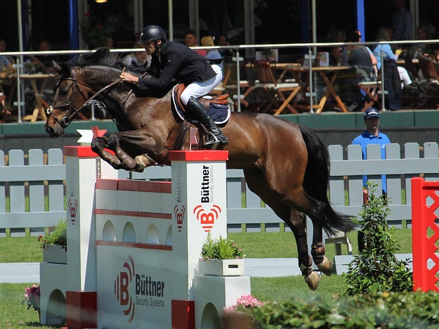 不少專家建 不少專家建