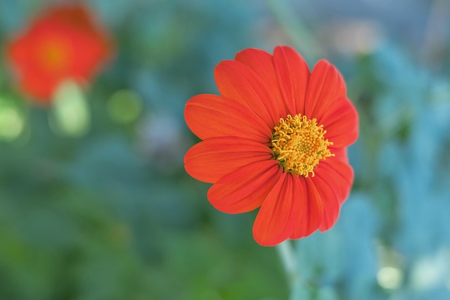 季后赛总得 季后赛总得